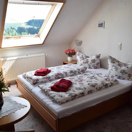 Hotel Carola 3*